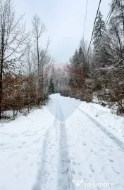 Teren 1,794mp Moroeni / Strada Lespezi 