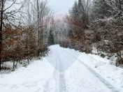 Teren 1,794mp Moroeni / Strada Lespezi 