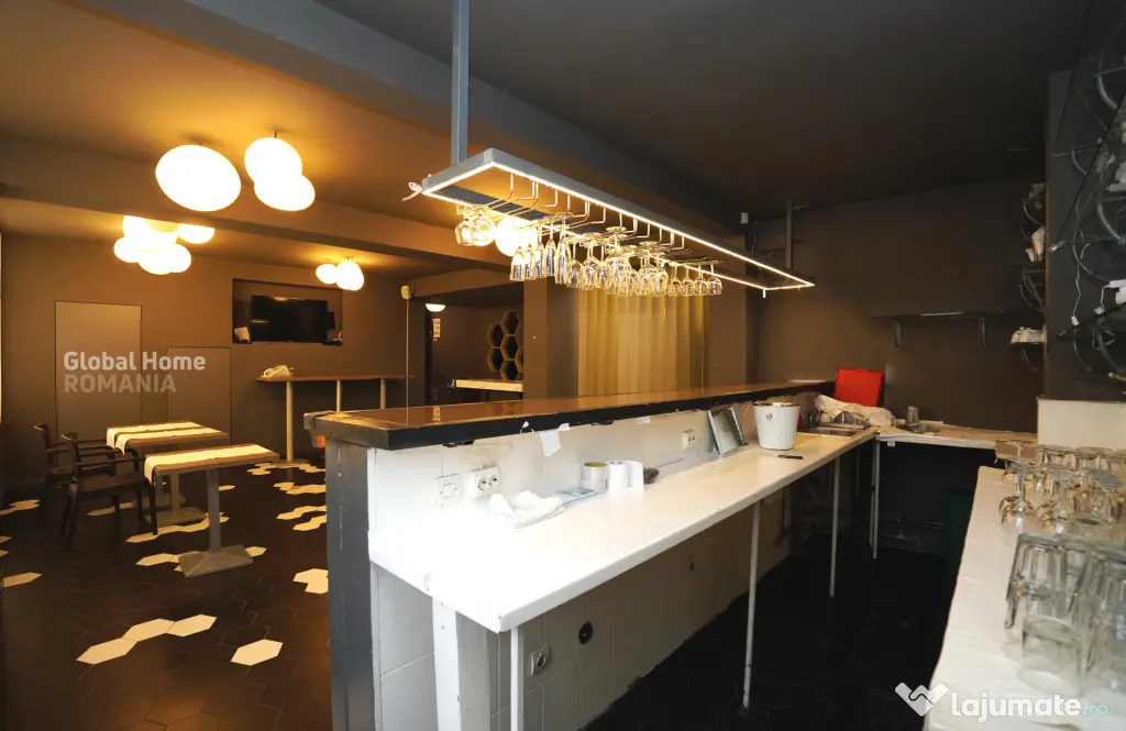 Casa/vilă cu terasă – Bd. Maria Rosetti | Ultracentral