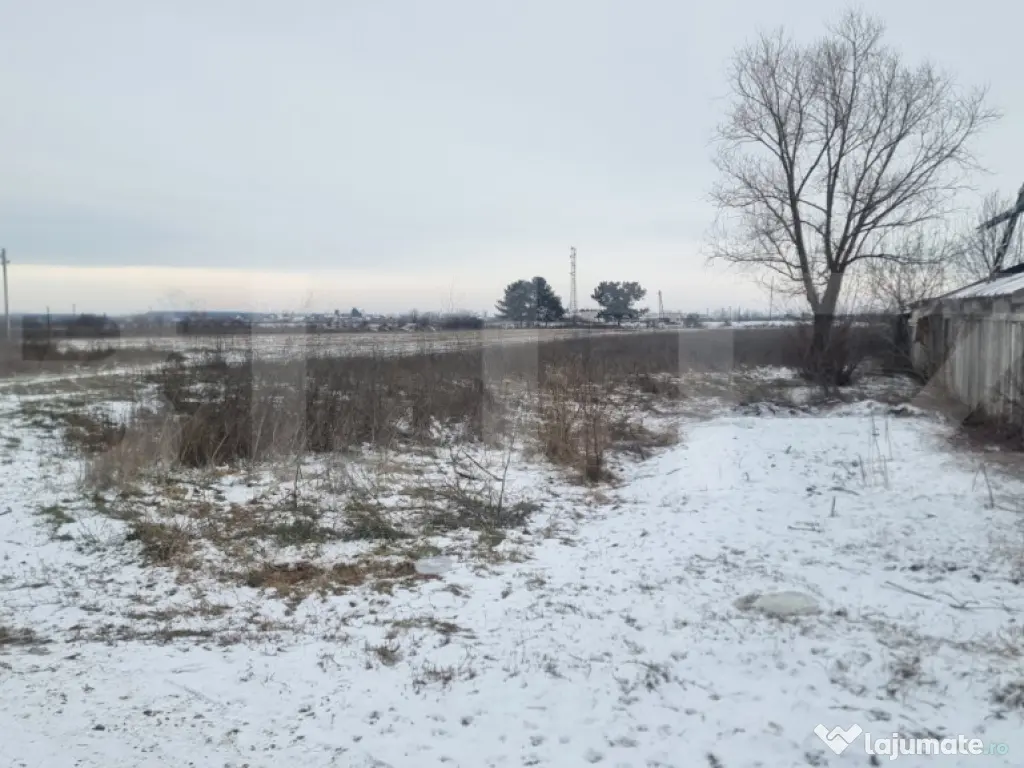 Teren vintravilan Aricesti -Stoenesti