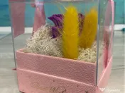 Cutie cadou „Best Wishes” cu trandafir de săpun si licheni