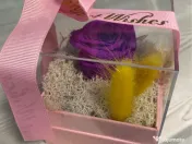 Cutie cadou „Best Wishes” cu trandafir de săpun si licheni