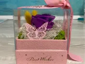 Cutie cadou „Best Wishes” cu trandafir de săpun si licheni