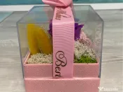 Cutie cadou „Best Wishes” cu trandafir de săpun si licheni