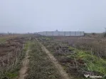 Vând teren intravilan 918 mp – Șimnicul de Sus