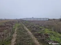Vând teren intravilan 918 mp – Șimnicul de Sus