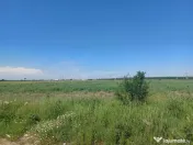 Teren intravilan, 12000 mp, Ciorogarla, jud. Ilfov 