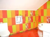 Reducere 10.000 Euro ! Casa, la cheie, Branesti - 15 km de 