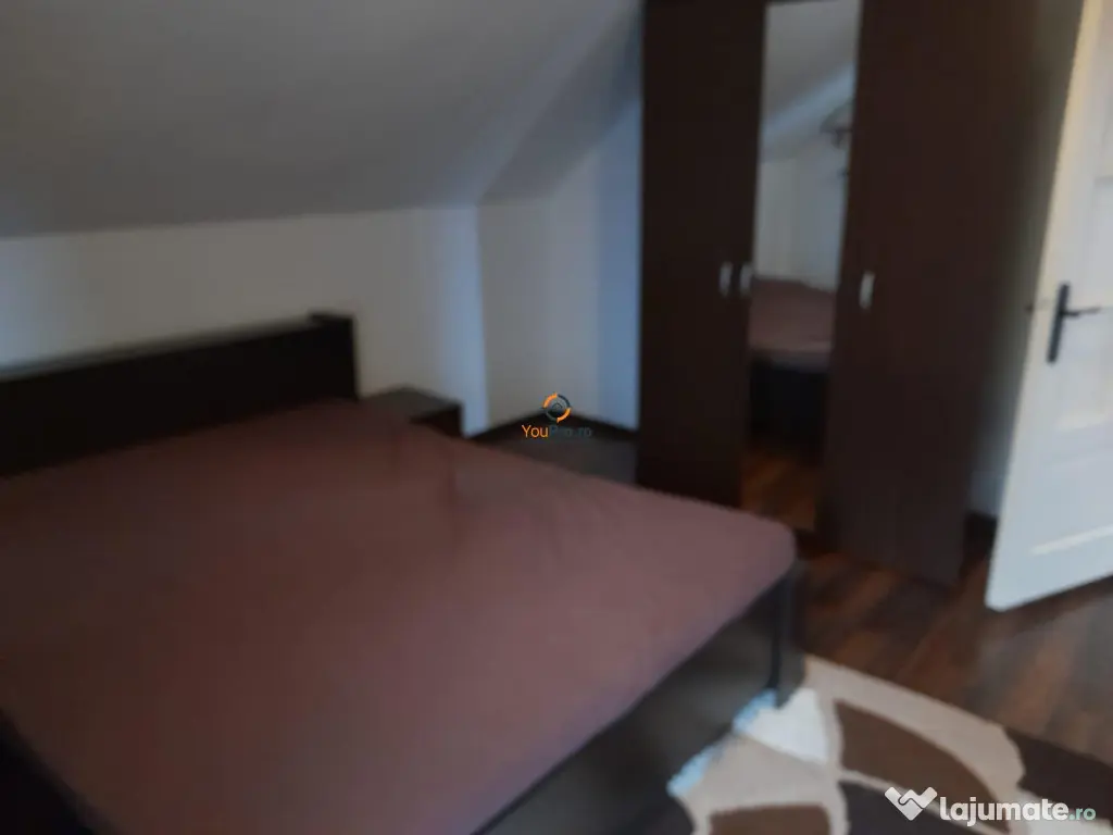 Vila Individuala Timisoara