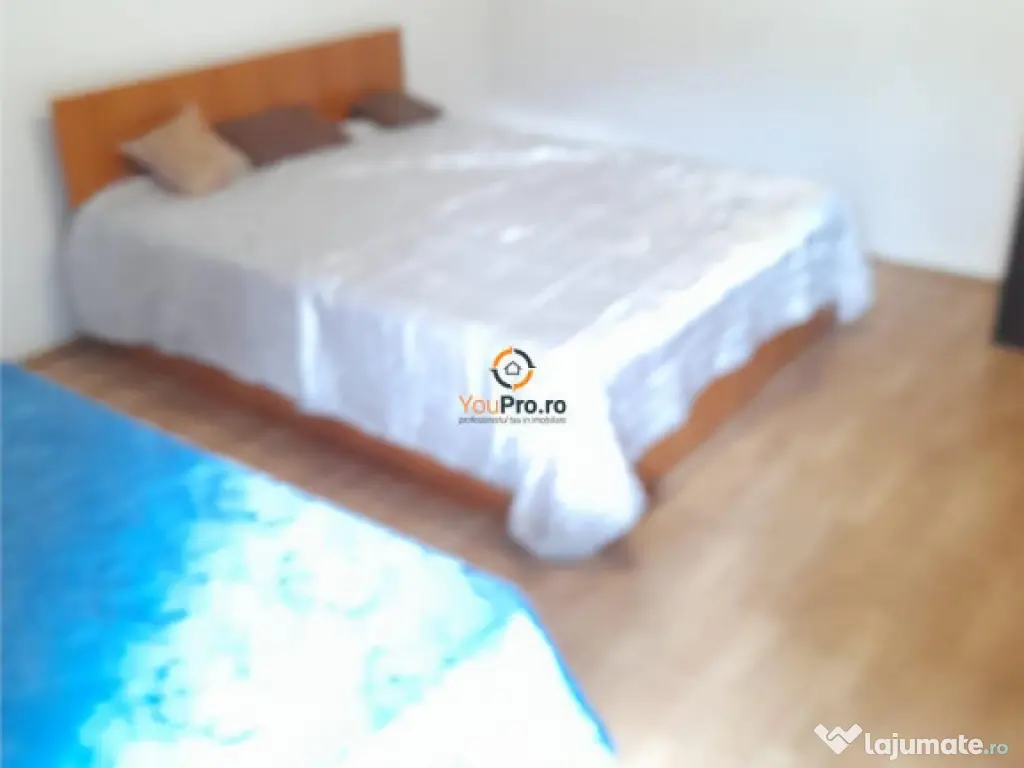 Vila Individuala Timisoara