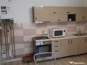 Vila Individuala Timisoara 