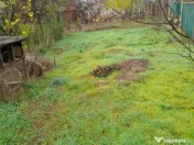 Vila Individuala Timisoara 