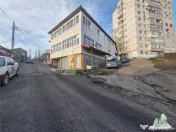 Vila unica de cu destinatie de locuinta si spatii comercial 