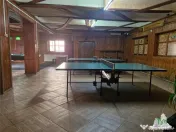 Vila unica de cu destinatie de locuinta si spatii comercial 