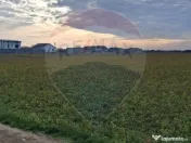 Teren 5,700mp Santion / None 