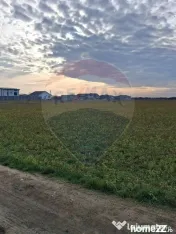 Teren 5,700mp Santion / None