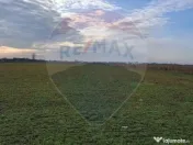 Teren 5,700mp Santion / None 