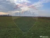 Teren 5,700mp Santion / None 