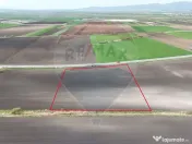 Teren extravilan potențial industrial | 10.000 mp | Feld... 