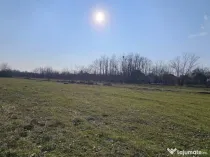 Baicoi -Tufeni, intravilan 6076 mp,2 deschideri - 55000 euro