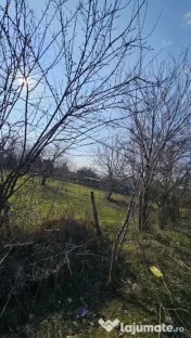 Baicoi -Tufeni, intravilan 6076 mp,2 deschideri - 55000 euro 