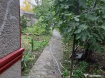 Teren zona centrala Braila 250mp casa batraneasca