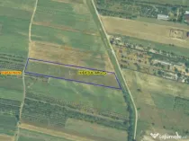 Teren intravilan 7.545 mp în Mărăcineni – ideal reziden