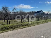 Refugiu la țară: casă cu 2 camere și teren de aproape 4. 