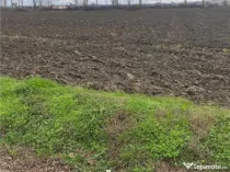 Teren Extravilan 10.000 mp in Prahova