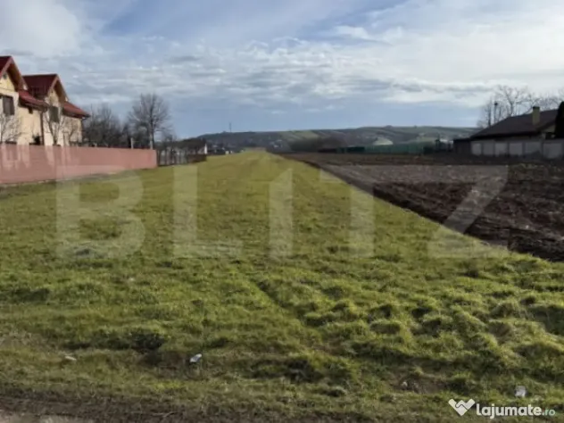 Teren intravilan cu o suprafata de 1500 mp in zona Albesti