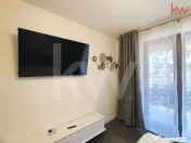 „Trăiește orașul, nu doar locuiește în el” | 2 came 