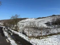 Teren intravilan 1.000 mp împrejmuit – Luncșoru, comuna