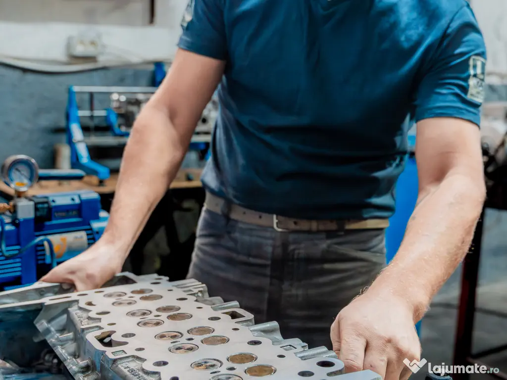 Motor Rover Evoque Discovery Sport 2.0 diesel 204DTD RECONDITIONAT