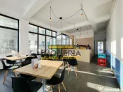 Pizzerie stradala-dotari full-100m metrou Mihai Bravu-posibi 