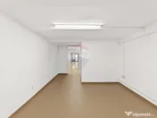 Spațiu comercial cu destinatii multiple Vlaicu 