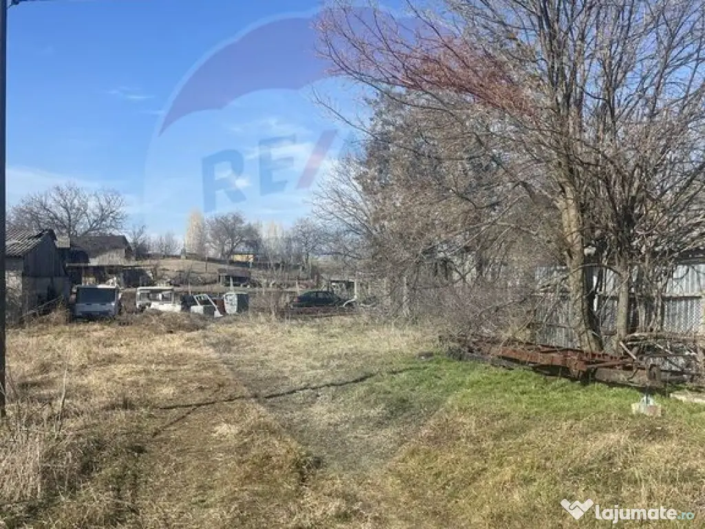 Teren Dumbraveni 2028 mp