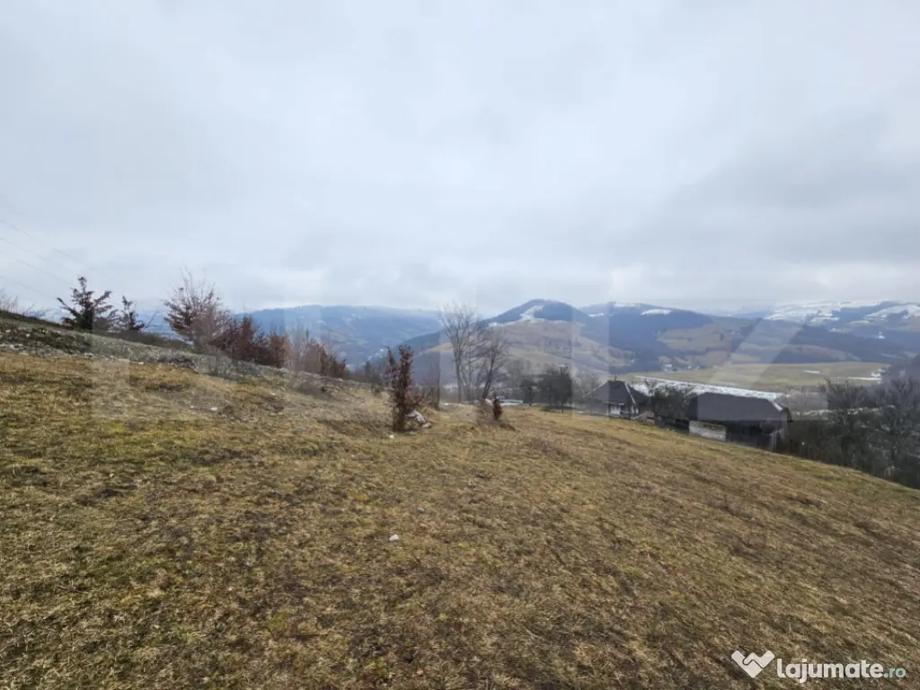 Teren 7.513 mp, cu priveliște panoramică, Dăroaia, comuna