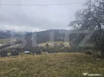Teren 7.513 mp, cu priveliște panoramică, Dăroaia, comuna
