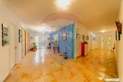 Vilă cu 4 camere de vânzare 921 mp zona Subcetate,Arad 