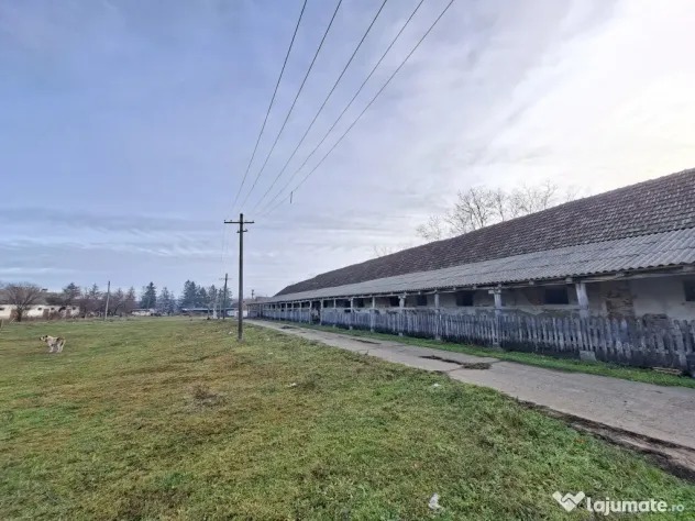 De vanzare 1 ha teren intravilan cu 2 grajduri acoperite cu tigla