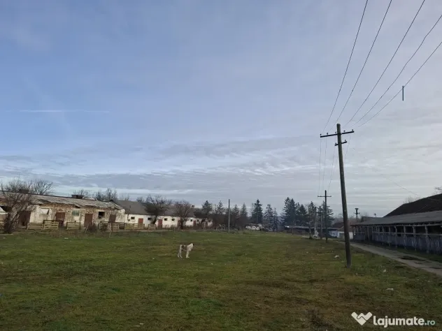 De vanzare 1 ha teren intravilan cu 2 grajduri acoperite cu tigla