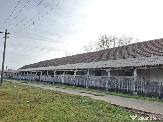 De vanzare 1 ha teren intravilan cu 2 grajduri acoperite cu tigla