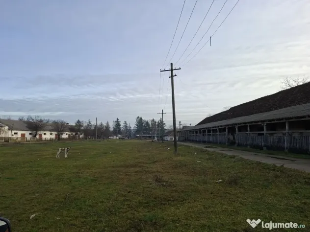 De vanzare 1 ha teren intravilan cu 2 grajduri acoperite cu tigla