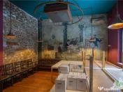 Proprietate Piata Unirii - teren 1000mp 2 constructii 