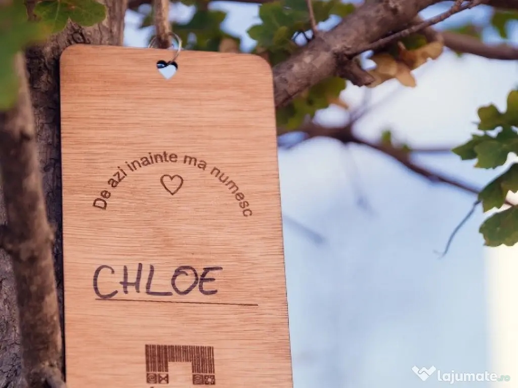 Apartament Nou 2 camere-64 mp util-reper Mall Colosseum / Sect 1