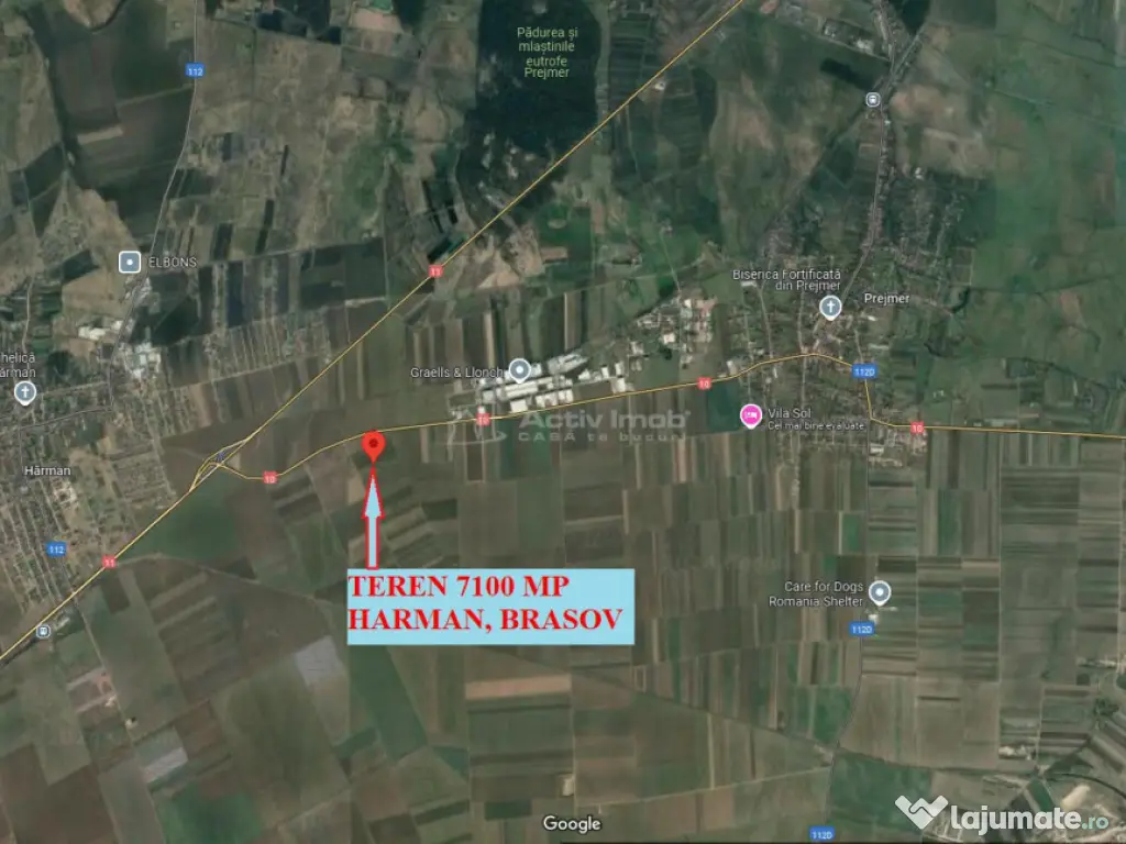 Arabil Harman, spre Prejmer, langa case, acces usor, pretabi