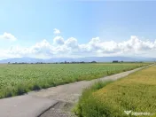 Arabil Harman, spre Prejmer, langa case, acces usor, pretabi 