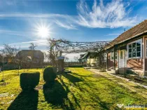 FILM! Casa traditionala, pe domeniu pretios, de 7.608 mp, Ce