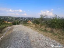 Teren intravilan , Bucium Barnova