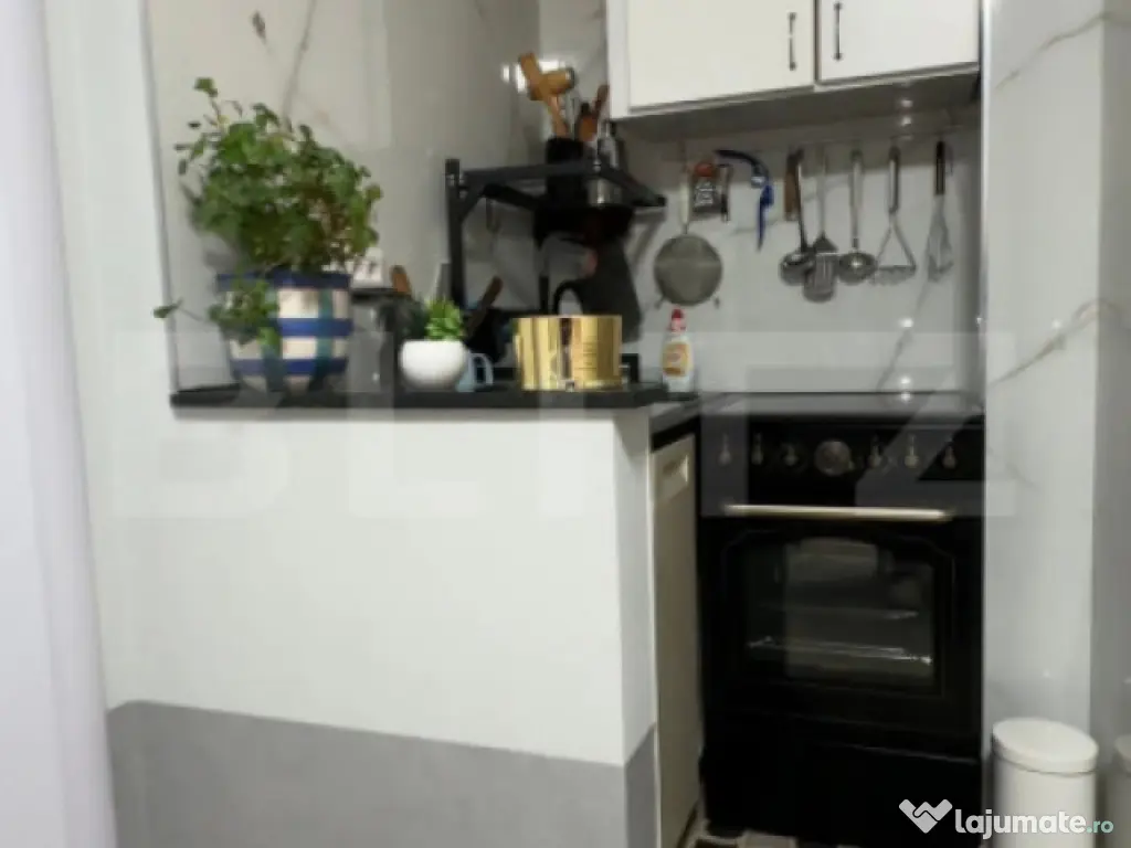 Garsoniera, 22 mp, etaj intermediar, cartier Burdujeni